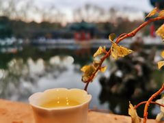 -MAP CHA普洱茶馆(翠湖店)