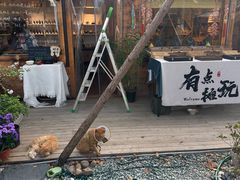 -辛庄国际文化艺术区