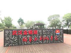 -金银湖国家城市湿地公园