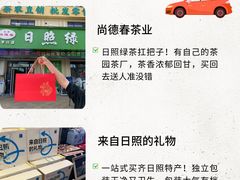 -日照海滨国家森林公园