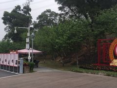 -金鸡山公园