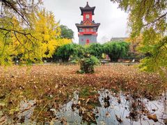 -四川大学(华西校区)