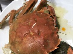 -集品鲜湾·蒸汽海鲜自助料理(青岛银座和谐广场店)