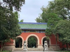 -灵谷景区
