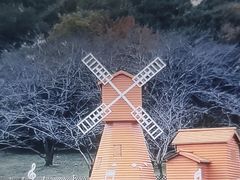 -苏州上方山国家森林公园