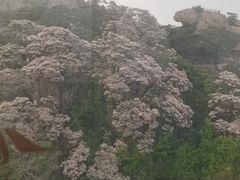 -崂山仰口游览区