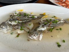 -八仔大富楼·河鲜(西江店)