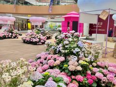 -上海长风大悦城