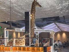 -四小姐的店(泉舜店)
