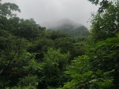 -大岭沟猕猴桃谷风景区