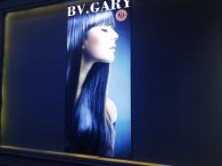 -东晨宝格丽品质造型