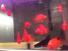 -香满居张记小厨私房菜(青岛站店)