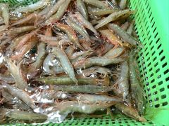 -都斛海鲜街