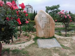 -咸阳湖景区-古渡公园