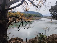 -蒋氏故居