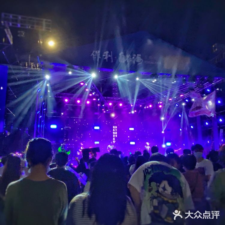 昨天在朱家尖的音乐节，有鹿先森