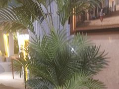-大书房咖啡(中传国交店)