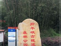 -羚羊峡古栈道森林公园