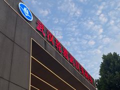 -武汉关码头(轮渡站)