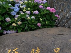 -常州古运河南大街文化旅游区-人民公园