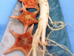 -千岛蚝高压锅生蚝·人参火锅(白云万达店)