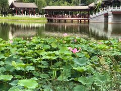 -西海子公园