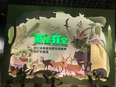 -浙江自然博物院(杭州馆)