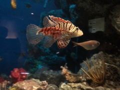-鹿儿岛水族馆