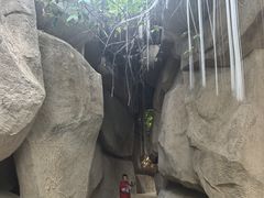 -南山植物园