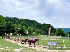 -狮子沟牧场
