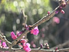 -七彩云南古滇温泉山庄
