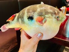 -永安鱼庄·镇江菜(东吴路店)