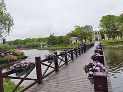 -上海鲜花港