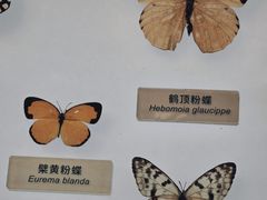 -中国湿地博物馆