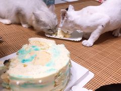 -DIY SWEET21(升平路店)