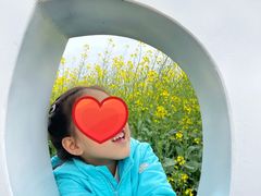 -光明小镇欢乐田园