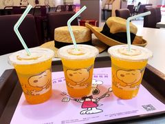 -史努比缤纷世界
