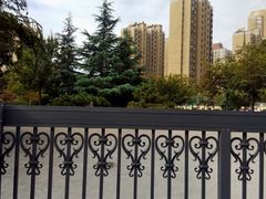 -济南市行知小学