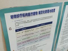 -半岛宠物医院24小时·内窥镜·牙科·碎石中心(府城大道店)