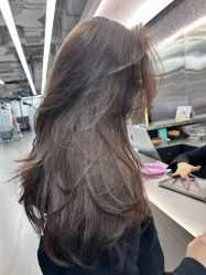 -Hair Code芭曲发型