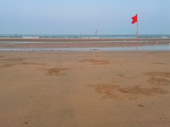 -日照海滨国家森林公园