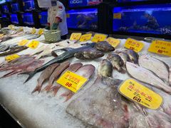 -万宝海鲜舫(劳动公园店)