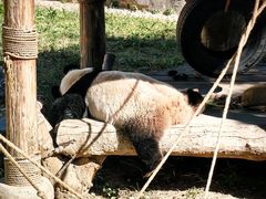 -石家庄市动物园