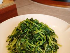 清炒鸡毛菜-川旺角融合菜•海景餐厅(星海广场店)