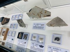 -房山世界地质公园博物馆