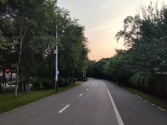 -长白岛森林公园