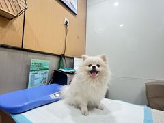 -半岛宠物医院24小时(西派城店)