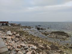 -养马岛旅游度假区