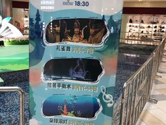 -鹏欣水游城