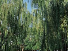 -玲珑塔公园
